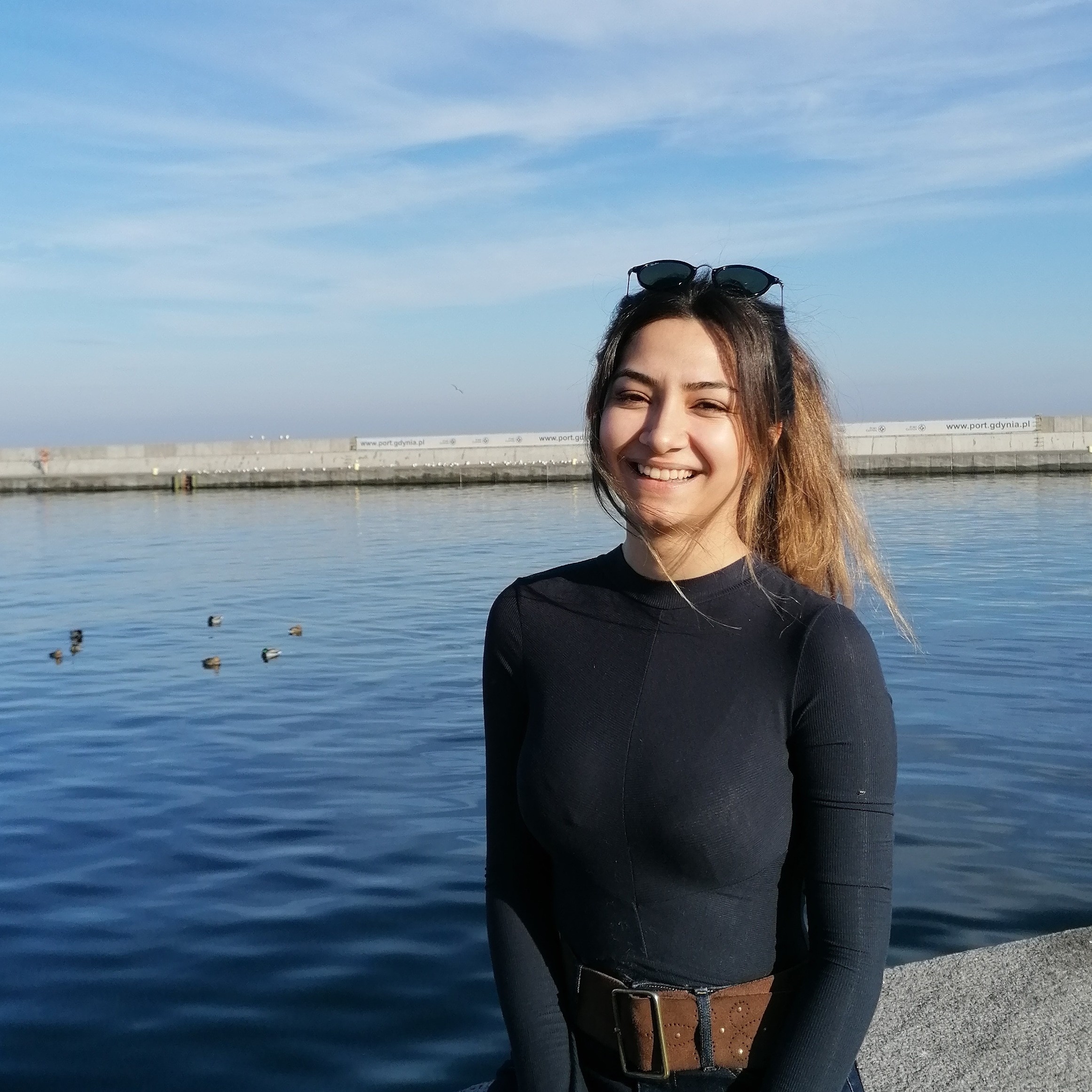 Ayşe Alev Alev