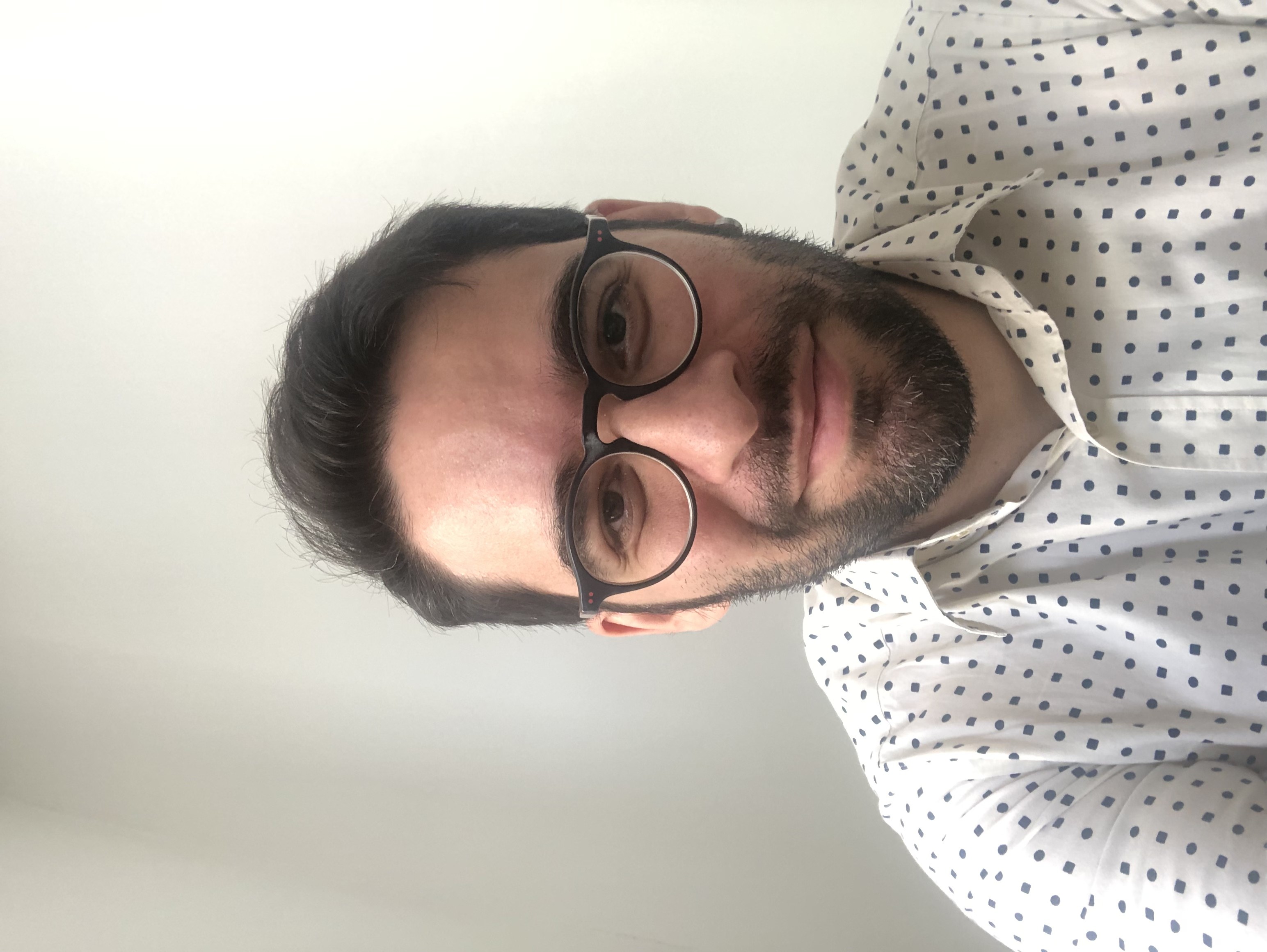 Hayri Demircapa