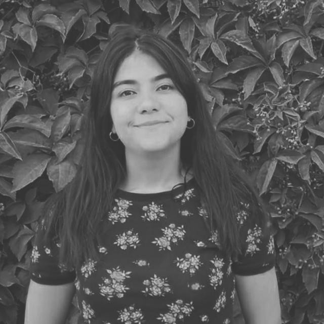Irem Ercan
